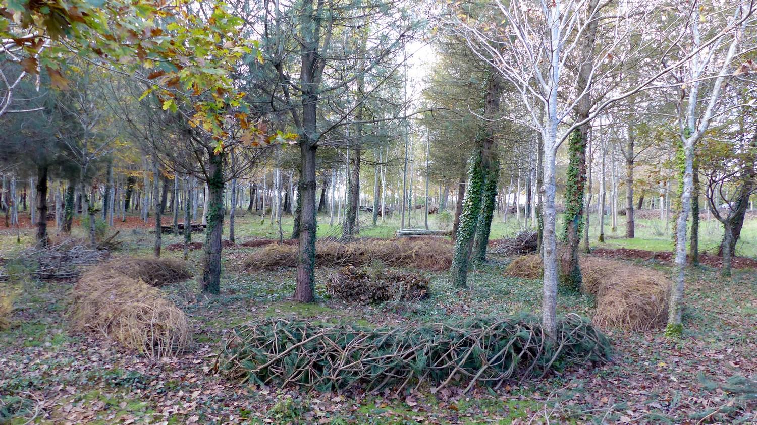 Autumn 2017