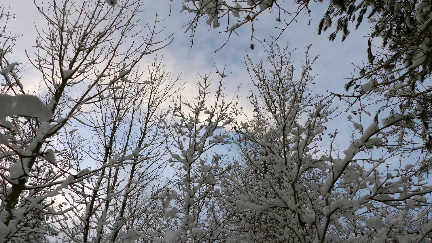 Winter 2017