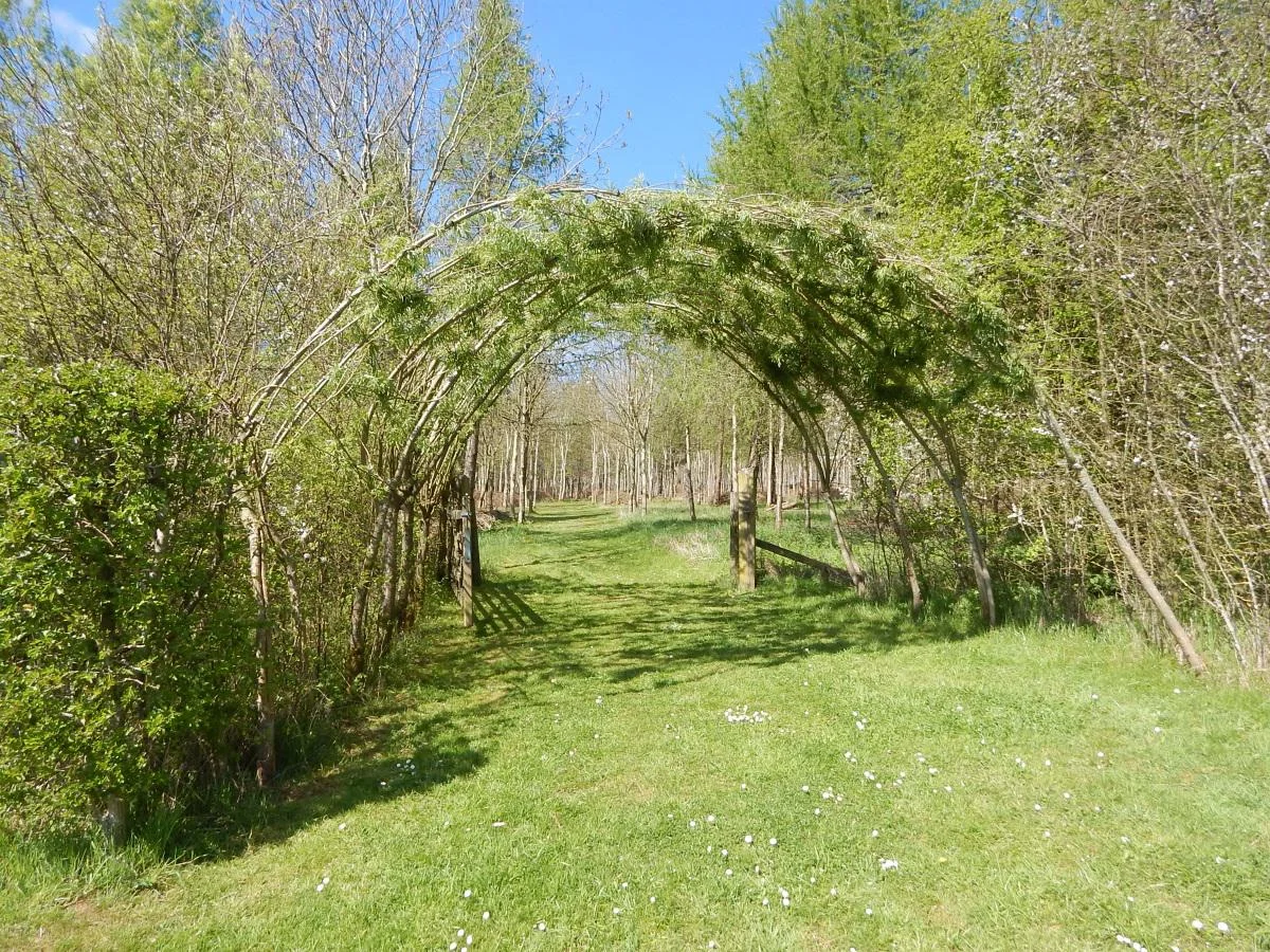 Willow arch