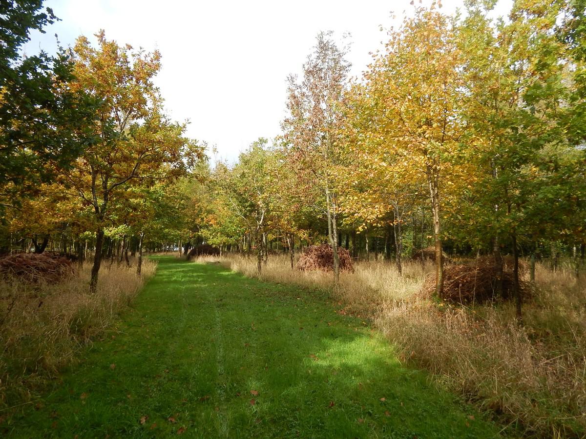 Autumn 2015